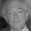 gambon-150